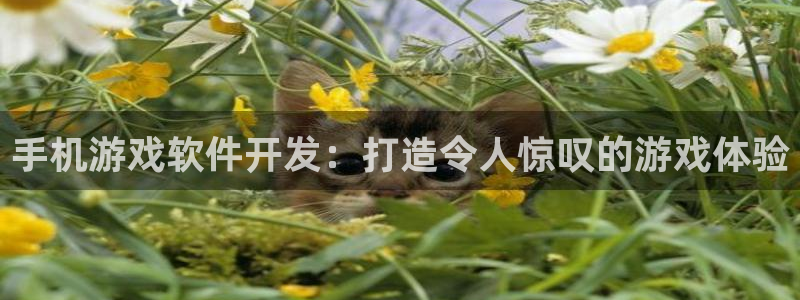 沐鸣娱乐2官网网址是多少