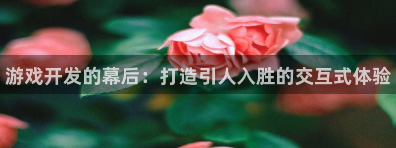 沐鸣2代理注册