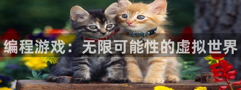 沐鸣2登录注册：编程游戏：无限可能性的虚拟世界