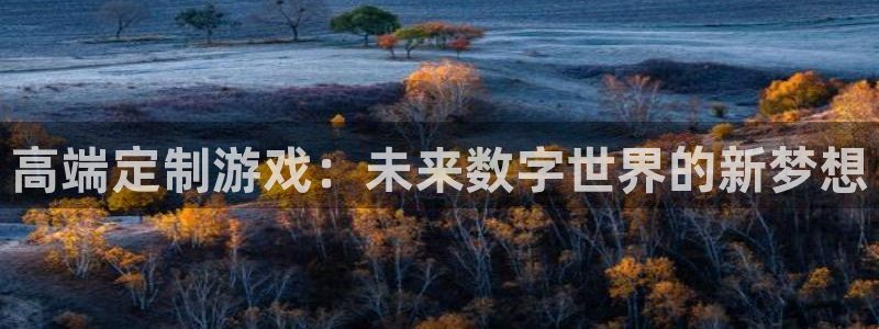 沐鸣娱乐2如何找回密码：高端定制游戏：未来数字世界的新梦想