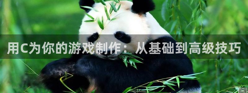 沐鸣2客户端 登录：用C为你的游戏制作：从基础到高级技巧