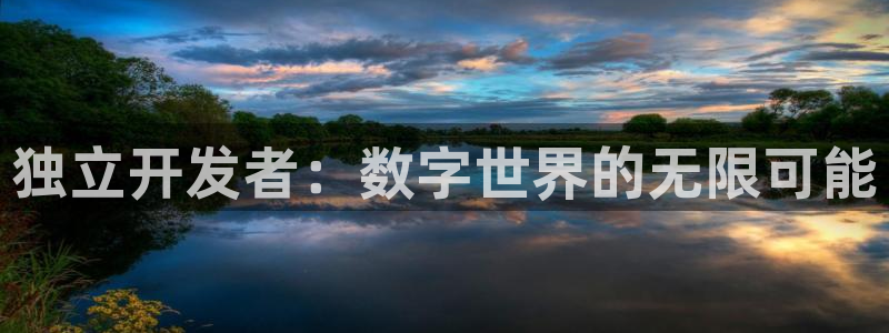 沐鸣娱乐2是正规平台么吗：独立开发者：数字世界的无限可能